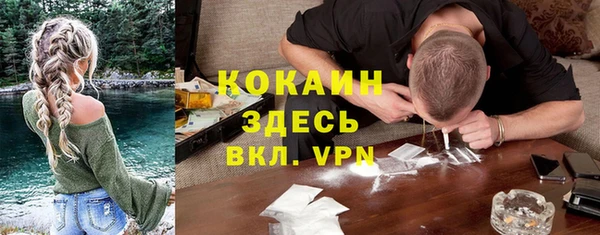 спайс Гусь-Хрустальный
