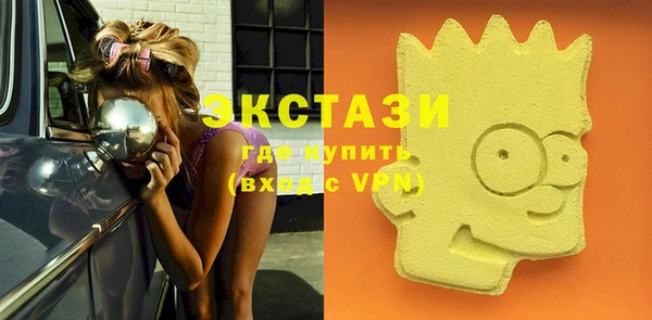 таблы Гусев