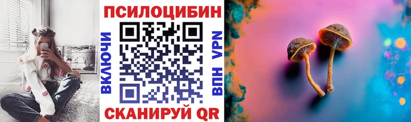 купить наркотики сайты  Туран  Псилоцибиновые грибы ЛСД 